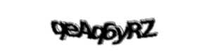 Security check image, please type the characters shown